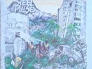 Steel Pulse - Handsworth Revolution - Original 1978 UK LP Album Vinyl Record EX