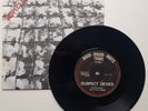Stiff Little Fingers: Suspect Device/Wasted Life 7