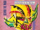 The Warriors Behind the Mask (Vinyl LP) 12