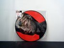 THE ROLLING STONES Picture Disc LP Tattoo You 1981 Rsr RE  vinyl