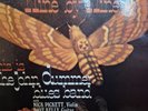 JOHN DUMMER CLEAN PHILIPS LP