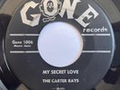 CARTER RAYS Ding Dong Darling/My Secret Love DOO WOP 45 *hear*