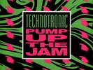 Technotronic - Pump Up The Jam (Vinyl LP - 1990 - Reissue)