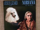 RARE Nirvana & The Jesus Lizard split 7