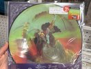 SIERRA FERRELL TRAIL OF FLOWERS PICTURE DISC VINYL LP NEW SEALED RSD BF 2025