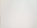 We Are Scientists With love And Squalor Test Pressing 2019 Rare