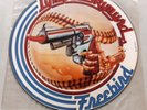 Lynyrd Skynyrd Freebird Picture Disc 1974 Rock MCA Records