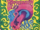 SACRED MUSHROOM, The - The Sacred Mushroom - Vinyl (LP)