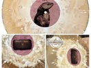 Melanie Martinez HADES Vinyl Blood Records Exclusive LE /3000 Presale Sold Out