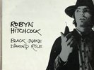 Robyn Hitchcock - Black Snake Diamond Röle (LP, Album)