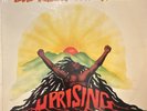 Bob Marley & the Wailers Uprising LP Vinyl Reggae 1980 Island ILPS 9596