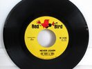 RARE '67 Garage Band The Odds & Ends Never Learn / Hey Little Girl Before You Go