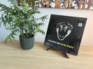 Against Me  - New Wave Vinyl (LP 2007 Yellow First Pressing Sire101304-1) Sealed
