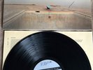 LLOYD COLE & THE COMMOTIONS 1984-1989 : 12