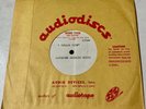 UNISSUED 1960s 8” SOUL FUNK DEMO 45 Dollar Bill / Pig Is An Animal VG+ HEAR