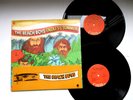 THE BEACH BOYS - ENDLESS SUMMER - RARE STICKER -  NM VINYL ULTRASONIC CLEAN
