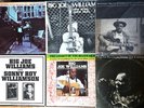 BLUES LP Lot: BIG JOE WILLIAMS Folkways DELMARK Bluesville SONET World Pacific+1