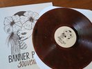 Banner Pilot Souvenir Rare color Vinyl Fat Wreck Nofx Misfits Bad Religion Afi