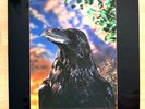 The Stranglers – The Raven, Limited Edition, 3D Sleeve