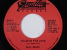 Modern Soul Boogie 45 SHO-NUFF Hold On For Love JAMILA VG+/VG++ HEAR h