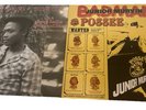 Jr. Murvin / Tristan Palma - Reggae Vinyl Record Lot