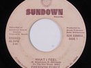 Modern Soul Boogie 45 FREEDOM FORCE What I Feel SUNDOWN HEAR h