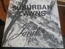 Suburban Lawns Janitor 45 Vinyl Record 1980 Stunning New Wave Record From My...