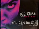 Ice Cube You Can Do It 12