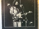 Grateful Dead/Live at The Felt Forum Dec. 5, 1971 Vinyl Record LP