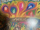 THE SAVAGE RESURRECTION LP MINT