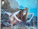 Roxy Music - Siren - 1975 Yellow Atco Original In Shrink Wrap - Ex/Ex Presswell