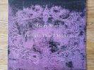 MAZZY STAR : So Tonight That I Might See : Vinyl LP : Original 1993 Capitol