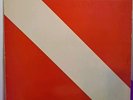 Van Halen Diver Down LP Vinyl 1982 Warner Bros