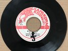 DESI ROOTS aka DESMOND YOUNG WARNING CAPRICORN RISING 1975 ROOTS REGGAE MISSILE