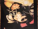 Public Image Ltd - The Flowers Of Romance LP UK 	Virgin Records – V 2189 1981