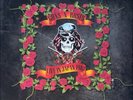 GUNS N' ROSES LIVE IN JAPAN 1988 ORANGE 180g 2 x VINYL LP GATEFOLD NEW Lies rare