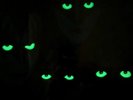 KISS CREATURES OF THE NIGHT  180 GRAM HALF SPEED REMASTER GLOWING EYES SEALED