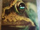 Toad LP Same Swiss Hallelujah 1st Press INCREDIBLE VINYL &AUDIO PROG MASTERPIECE