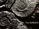 The Sundays - Reading Writing And Arithmetic (Vinyl LP - 1990 - US - Reissue)
