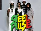 Steel Pulse Now Playing (Green LP) (Vinyl) (US IMPORT)