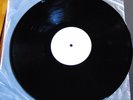 The Undertones  - LP Test Pressing Earmark Italy 2000  / 180g Original Version