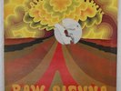 SAVOY BROWN - RAW SIENNA - 1970 UK  VINYL LP ALBUM MONO GATEFOLD - VG+/VG