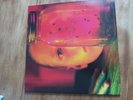 2LP Alice In Chains Jar of Flies Sap 1994 1st Press ETCHED vinyl