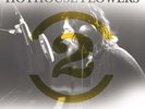 Hothouse Flowers Live On 2 Meter Sessions (Vinyl)