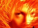 Stone Temple Pilots Shangri-La Dee Da (Vinyl) 12