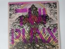 Trapped Under Ice Big Kiss Goodnight 12” Vinyl Record RR47 Hardcore TUI PUNX BKG