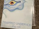 Trapped Under Ice Stay Cold Vinyl Backtrack Next Step Up Drain Sunami Cold World