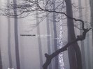 Trentemøller - The Last Resort (Vinyl 2LP - 2006 - EU - Original)