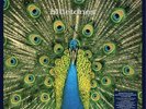 The Bluetones Expecting to Fly (Vinyl) 25th Anniversary  12