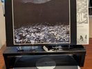 Death Courier Demise black vinyl LP weird face productions Thrash